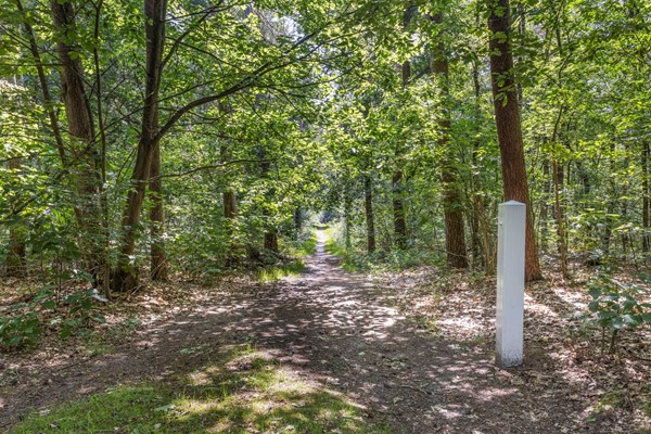 Medium property photo - Wolfhezerweg 120-76, 6874 AW Wolfheze